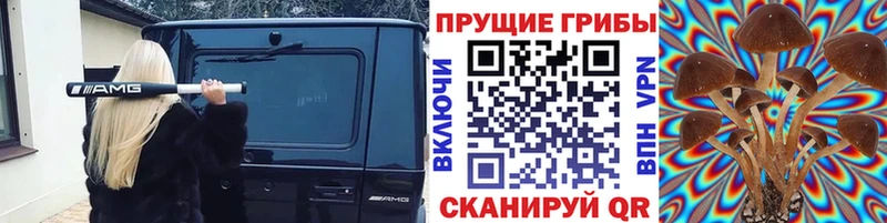 дарк нет наркотические препараты  Сенгилей  Галлюциногенные грибы прущие грибы  omg онион 
